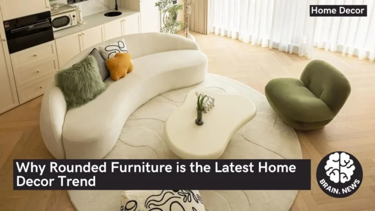 Why Rounded Furniture is the Latest Home Decor Trend